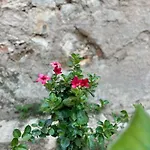 Διαμέρισμα Stone Garden *
