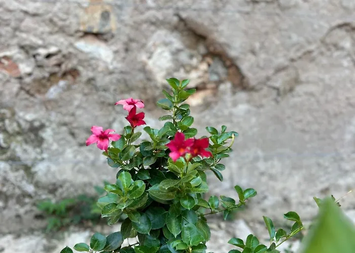 Apartment Stone Garden *